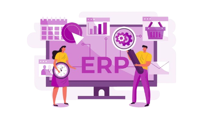 Enterprise Software Development 1 Enterprise Software Development Services in Udaipur